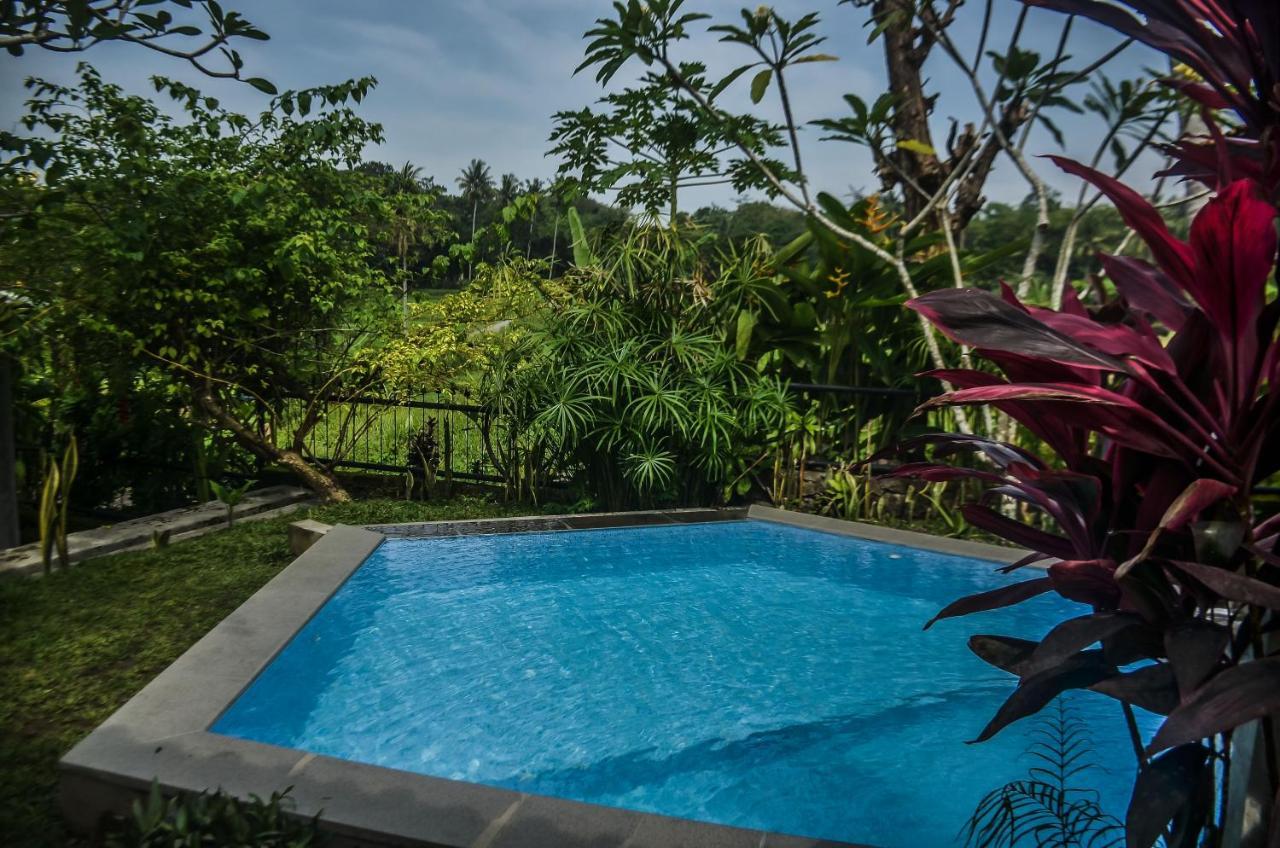 Villa Nextdoor Nature Yogyakarta Bantul Exterior foto