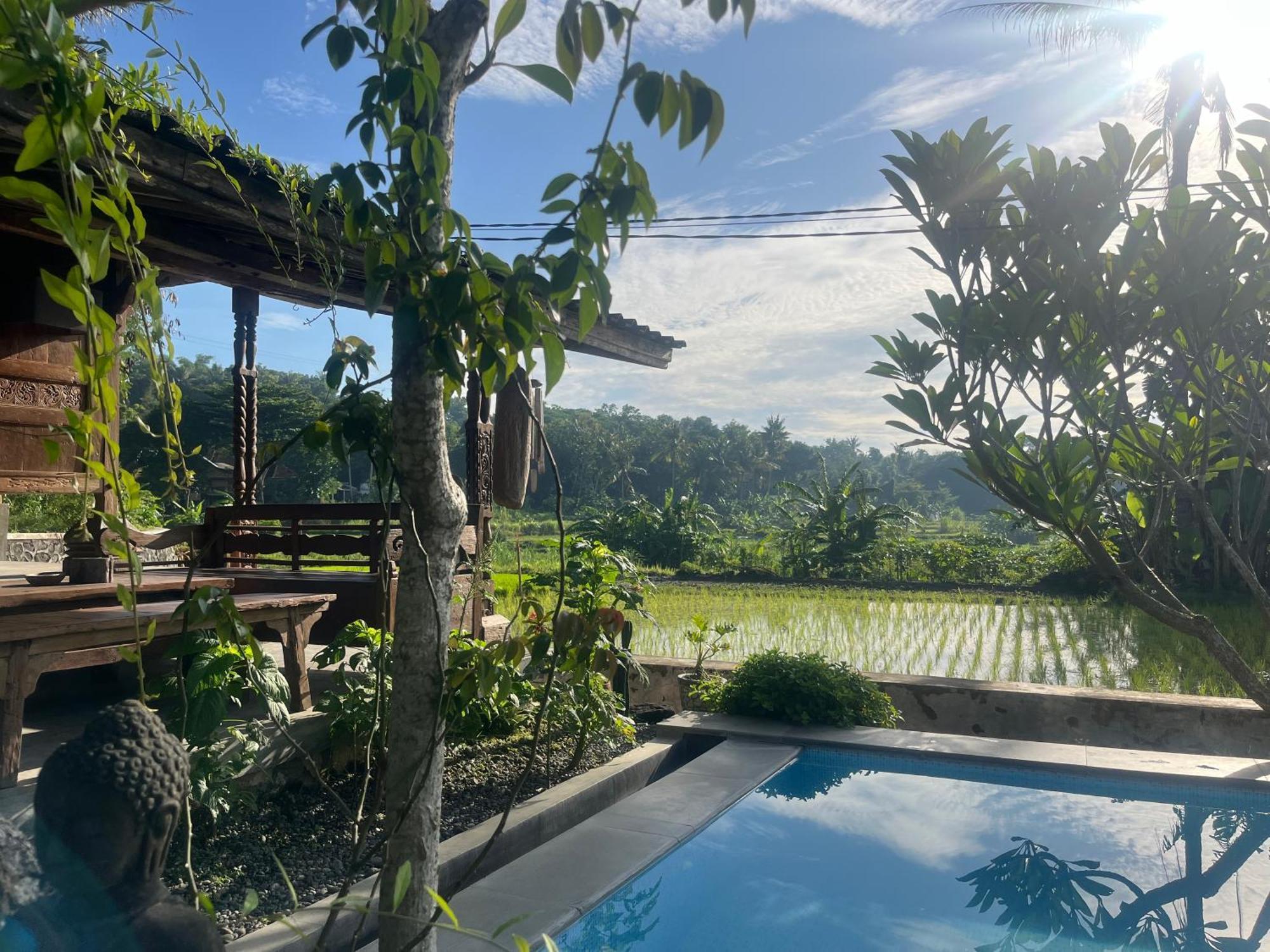 Villa Nextdoor Nature Yogyakarta Bantul Exterior foto