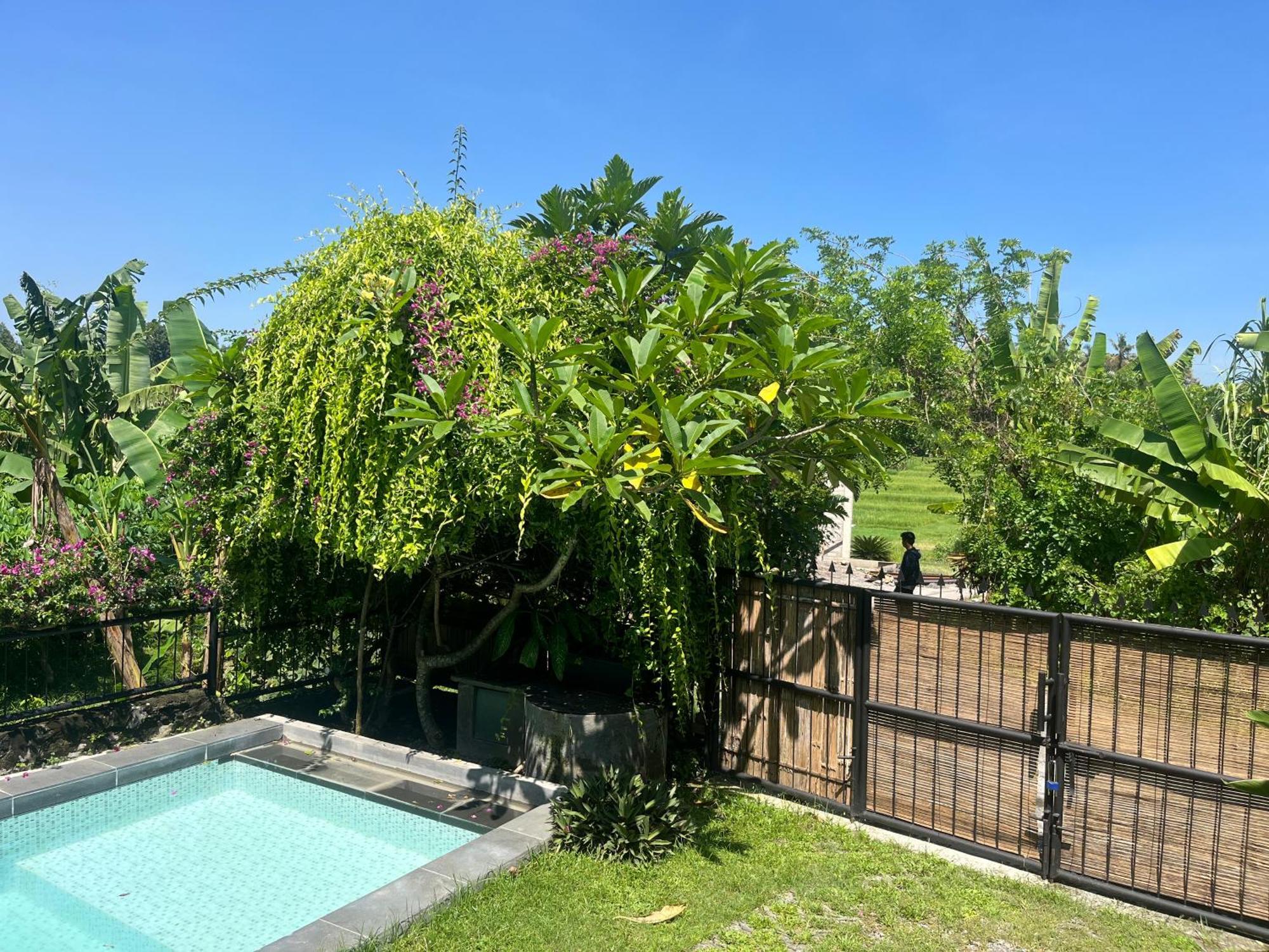 Villa Nextdoor Nature Yogyakarta Bantul Exterior foto